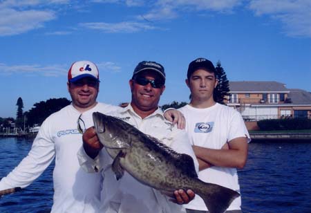 grouper