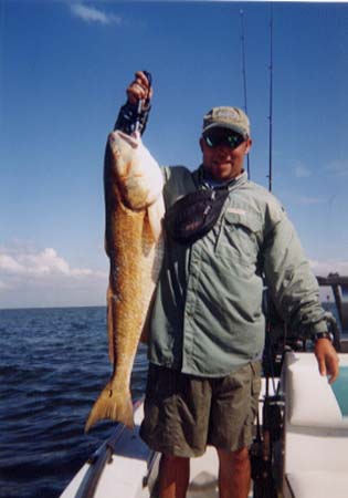 redfish8
