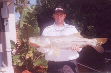 snook10