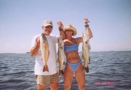 snook11
