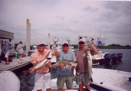 snook8