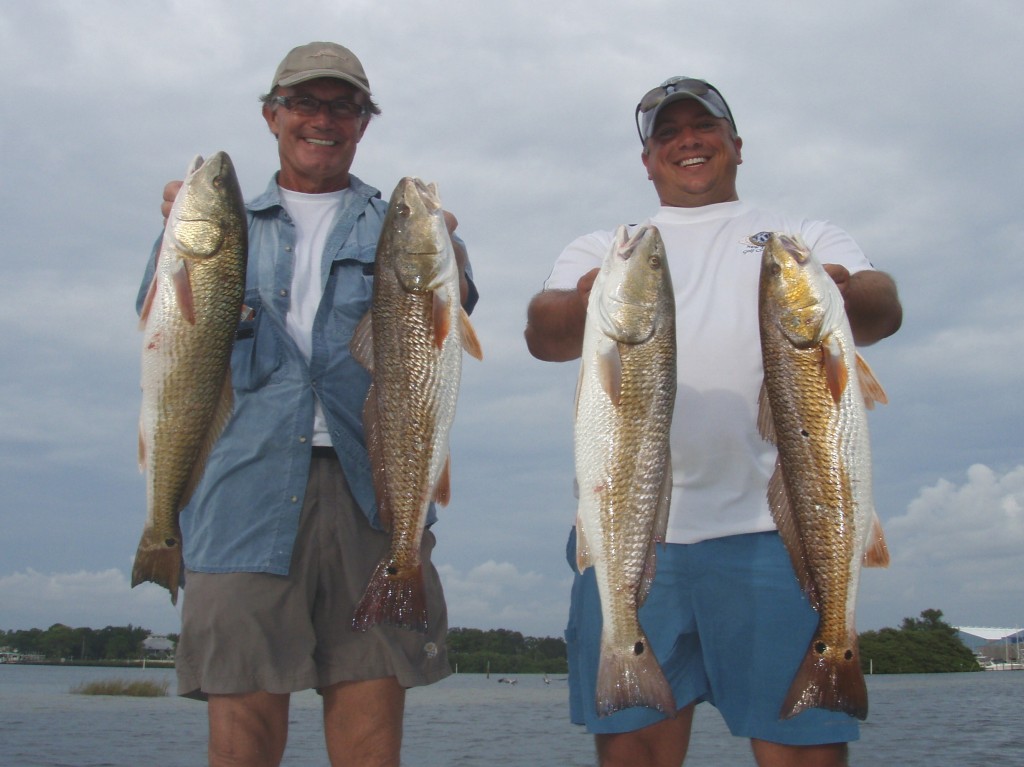 redfish